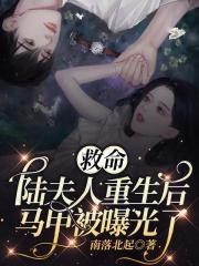 陆夫人又要换马甲了txt