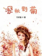 深秋里的菊花