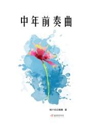 走过三十年 简谱北枫