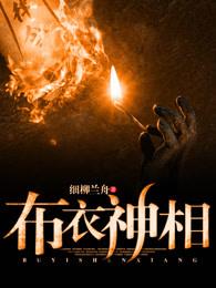 电影布衣神相