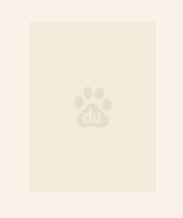 绝世炼丹师纨绔