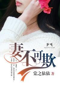 妻不可欺免费完整版 电视剧