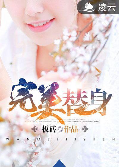 完美替身 简安