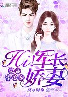 总裁的军长老婆