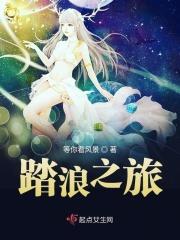 踏浪t1