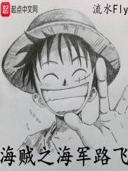 海贼之路飞主受