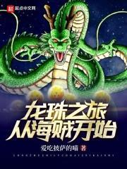 龙珠之旅从海贼开始